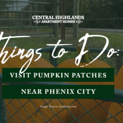 visit pumpkin patches near Phenix City