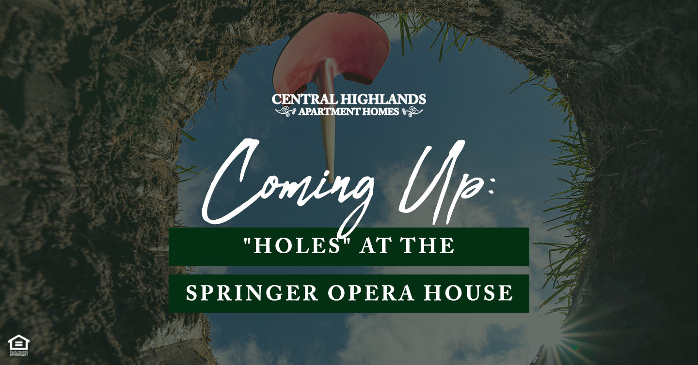 Coming Up: “Holes” at the Springer Opera House